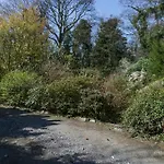 Brackenthwaite ويندرمير