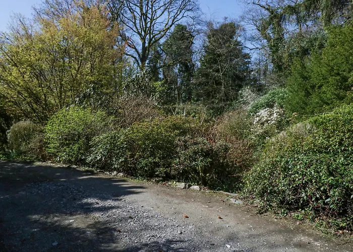 Brackenthwaite 温德米尔