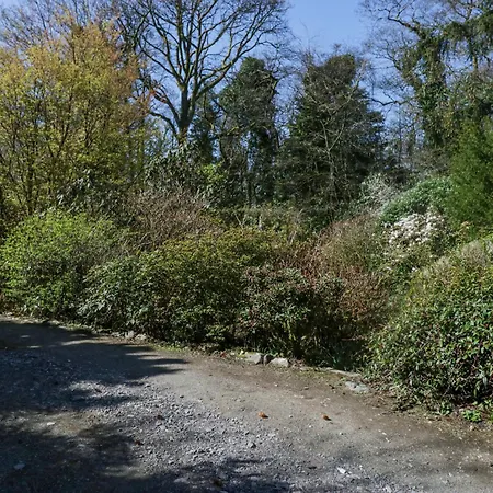 Brackenthwaite Windermere